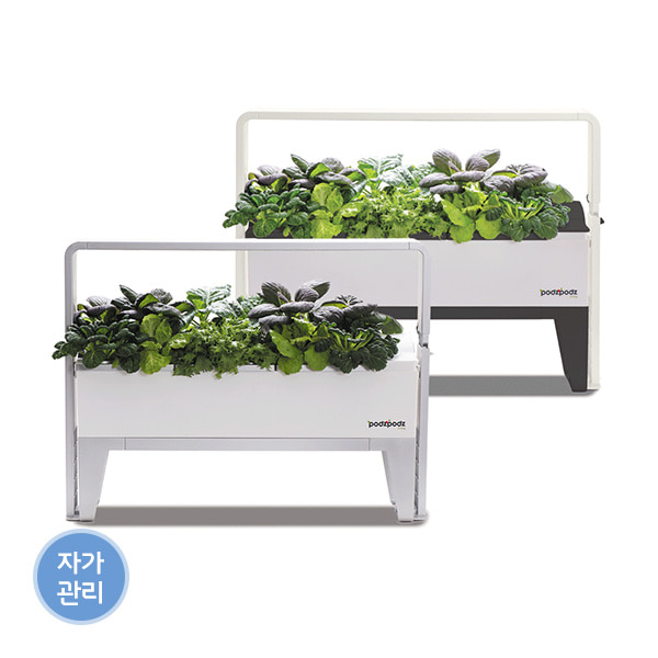 [파쯔파쯔] 가정용 LED 식물재배기 베이직